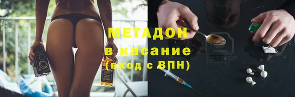 прущие грибы Арсеньев