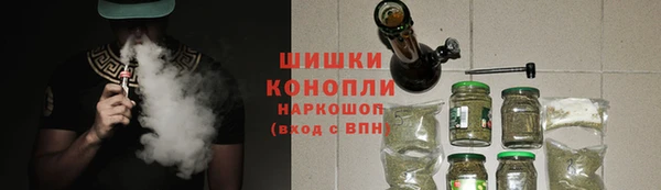 прущие грибы Арсеньев